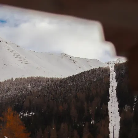 Bio-Bauernhof Zirmhof *